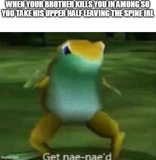 get nae-nae | WHEN YOUR BROTHER KILLS YOU IN AMONG SO YOU TAKE HIS UPPER HALF LEAVING THE SPINE IRL | image tagged in get nae-nae'd,memes | made w/ Imgflip meme maker