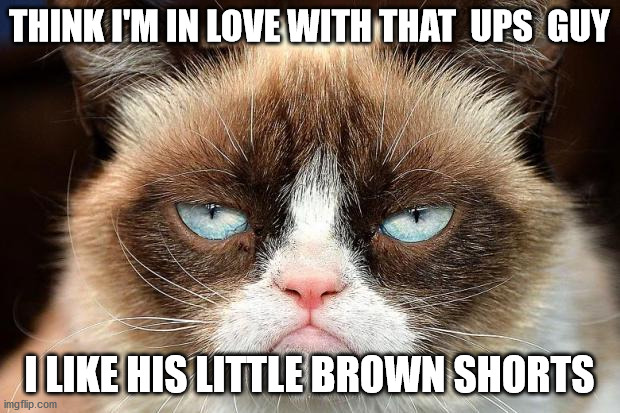 Grumpy Cat Not Amused | THINK I'M IN LOVE WITH THAT  UPS  GUY; I LIKE HIS LITTLE BROWN SHORTS | image tagged in memes,grumpy cat not amused,grumpy cat | made w/ Imgflip meme maker