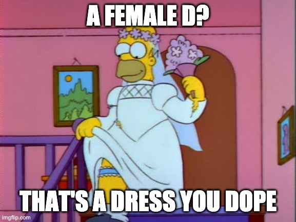 Homer Simpson Wedding Dress | A FEMALE D? THAT'S A DRESS YOU DOPE | image tagged in homer simpson wedding dress | made w/ Imgflip meme maker