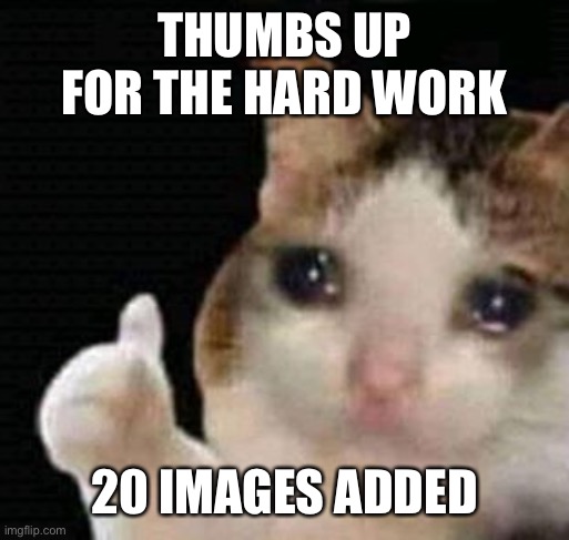 sad thumbs up cat | THUMBS UP FOR THE HARD WORK 20 IMAGES ADDED | image tagged in sad thumbs up cat | made w/ Imgflip meme maker