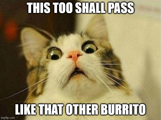 Scared Cat Meme | THIS TOO SHALL PASS; LIKE THAT OTHER BURRITO | image tagged in memes,scared cat | made w/ Imgflip meme maker