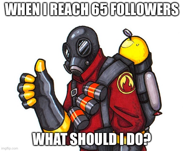 pyro approval | WHEN I REACH 65 FOLLOWERS; WHAT SHOULD I DO? | image tagged in pyro approval | made w/ Imgflip meme maker