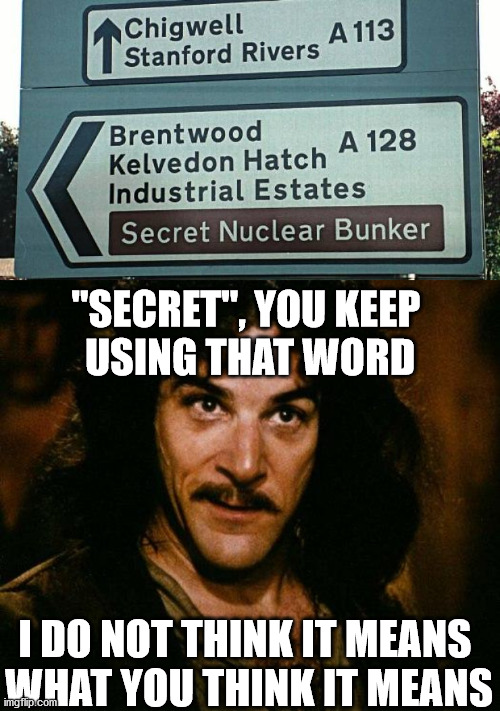 "SECRET", YOU KEEP 
USING THAT WORD; I DO NOT THINK IT MEANS 
WHAT YOU THINK IT MEANS | image tagged in memes,inigo montoya | made w/ Imgflip meme maker