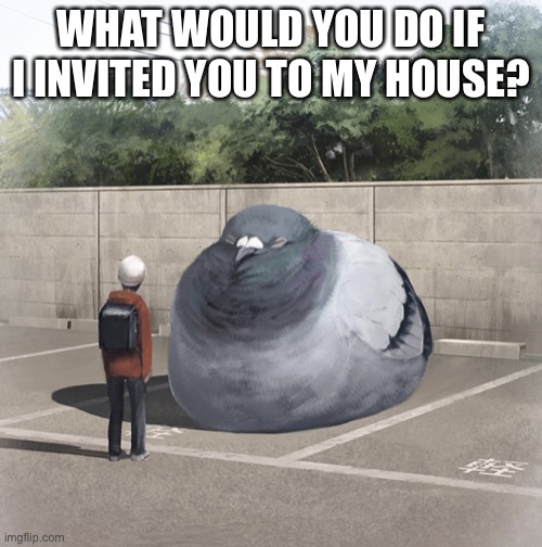 Beeg Birb | WHAT WOULD YOU DO IF I INVITED YOU TO MY HOUSE? | image tagged in beeg birb | made w/ Imgflip meme maker