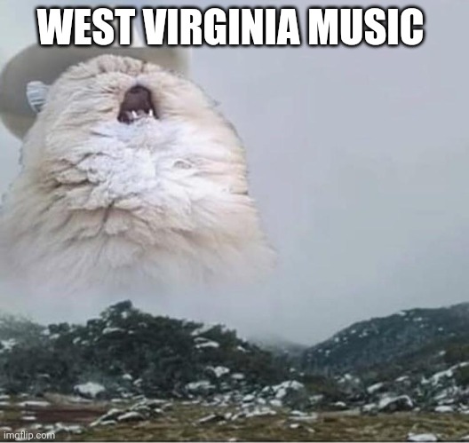 Country Roads Cat | WEST VIRGINIA MUSIC | image tagged in country roads cat | made w/ Imgflip meme maker