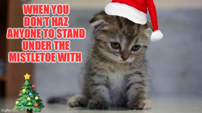 Oh well LOL | WHEN YOU DON’T HAZ ANYONE TO STAND UNDER THE MISTLETOE WITH | image tagged in memes,christmas,cats,mistletoe,alone,sad cat | made w/ Imgflip meme maker