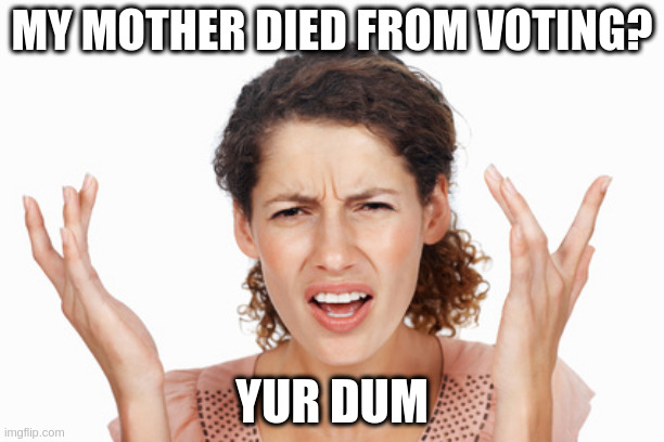 Indignant | MY MOTHER DIED FROM VOTING? YUR DUM | image tagged in indignant | made w/ Imgflip meme maker
