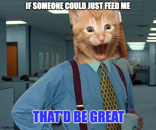 Lets eat. | IF SOMEONE COULD JUST FEED ME; THAT'D BE GREAT | image tagged in memes,that would be great,feed,me,hungry,cats | made w/ Imgflip meme maker