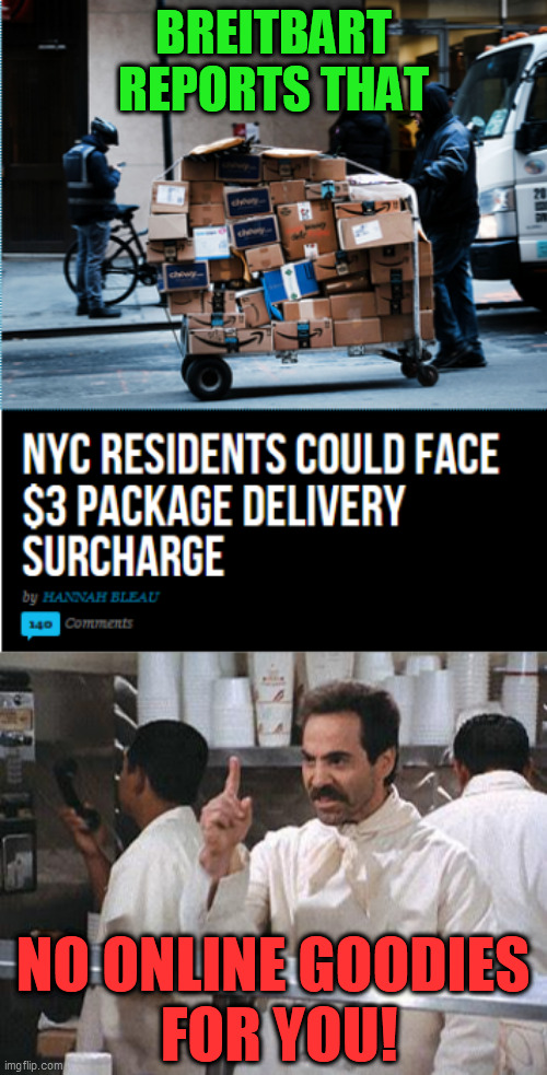 Greedy New York City officials always find some way to slit the throat of a golden egg goose.  In time for Christmas even?  :-/ | BREITBART REPORTS THAT; NO ONLINE GOODIES 
FOR YOU! | image tagged in no for you,package delivery | made w/ Imgflip meme maker