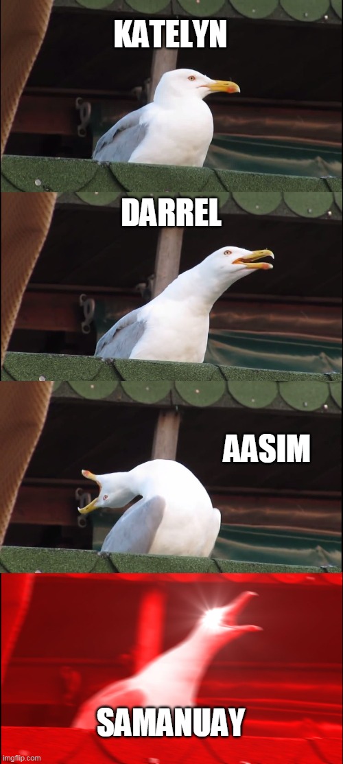 Inhaling Seagull | KATELYN; DARREL; AASIM; SAMANUAY | image tagged in memes,inhaling seagull | made w/ Imgflip meme maker