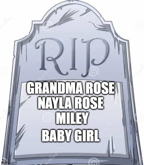 i have been wanting to make a post about this for awhile this is dedicated for the ppl i loved i wish i was on there not them | NAYLA ROSE; GRANDMA ROSE; MILEY; BABY GIRL | made w/ Imgflip meme maker
