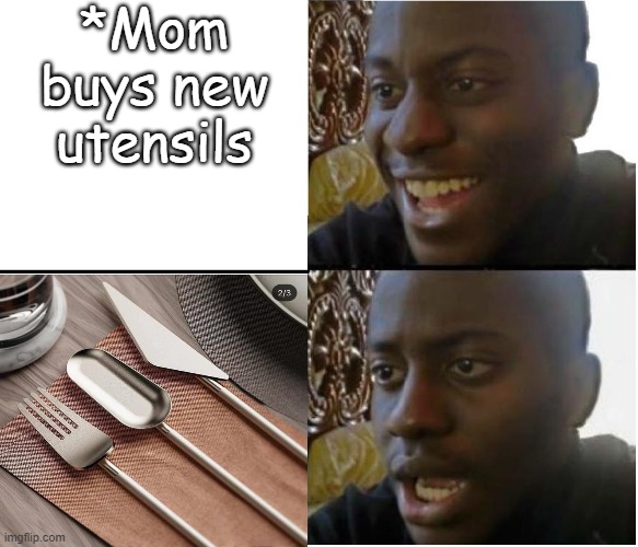 NOOOOOOOOOOOOOOOOOOOOOO | *Mom buys new utensils | image tagged in disappointed nigerian man,useless stuff,task failed successfully | made w/ Imgflip meme maker