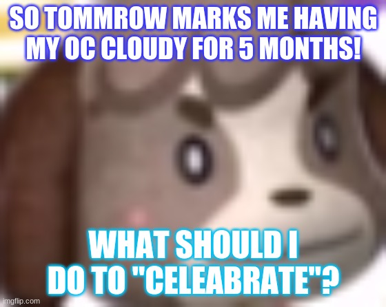 yus | SO TOMMROW MARKS ME HAVING MY OC CLOUDY FOR 5 MONTHS! WHAT SHOULD I DO TO "CELEABRATE"? | image tagged in digby wtf | made w/ Imgflip meme maker