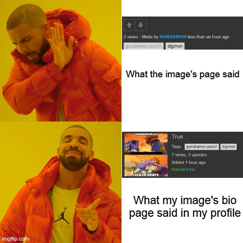 Drake Hotline Bling Meme | What the image's page said What my image's bio page said in my profile | image tagged in memes,drake hotline bling | made w/ Imgflip meme maker