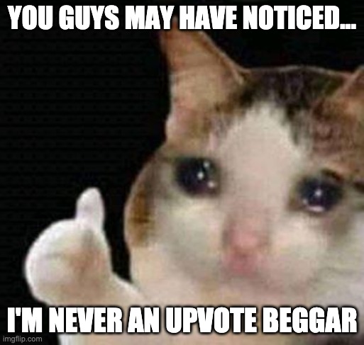 You can go through my memes | YOU GUYS MAY HAVE NOTICED…; I'M NEVER AN UPVOTE BEGGAR | image tagged in memes,crying kitten | made w/ Imgflip meme maker