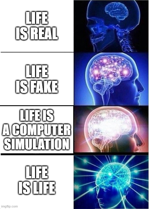 . | LIFE IS REAL; LIFE IS FAKE; LIFE IS A COMPUTER SIMULATION; LIFE IS LIFE | image tagged in memes,expanding brain | made w/ Imgflip meme maker