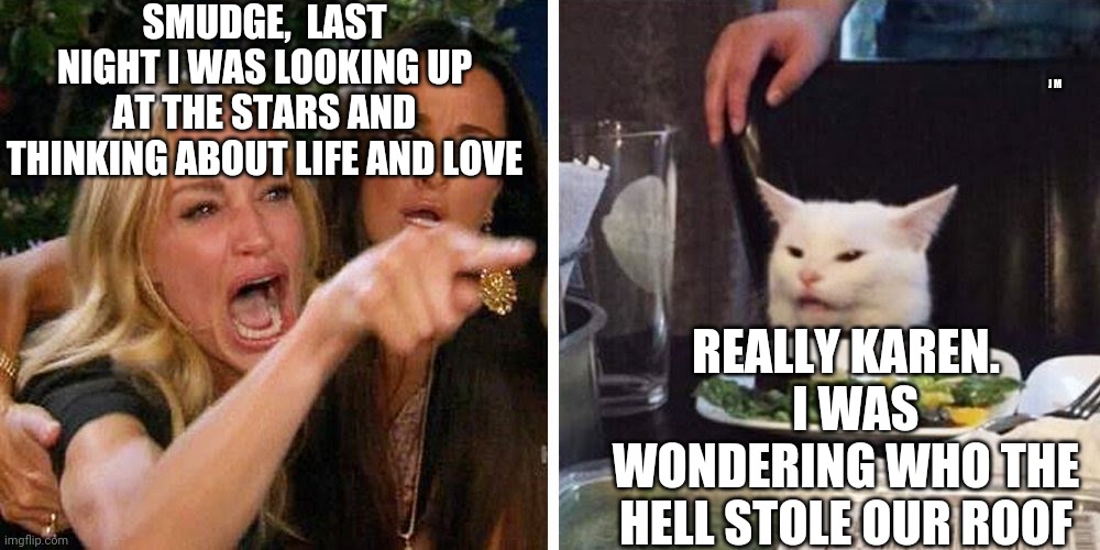 Smudge the cat | SMUDGE,  LAST NIGHT I WAS LOOKING UP AT THE STARS AND THINKING ABOUT LIFE AND LOVE; J M; REALLY KAREN.   I WAS WONDERING WHO THE HELL STOLE OUR ROOF | image tagged in smudge the cat | made w/ Imgflip meme maker