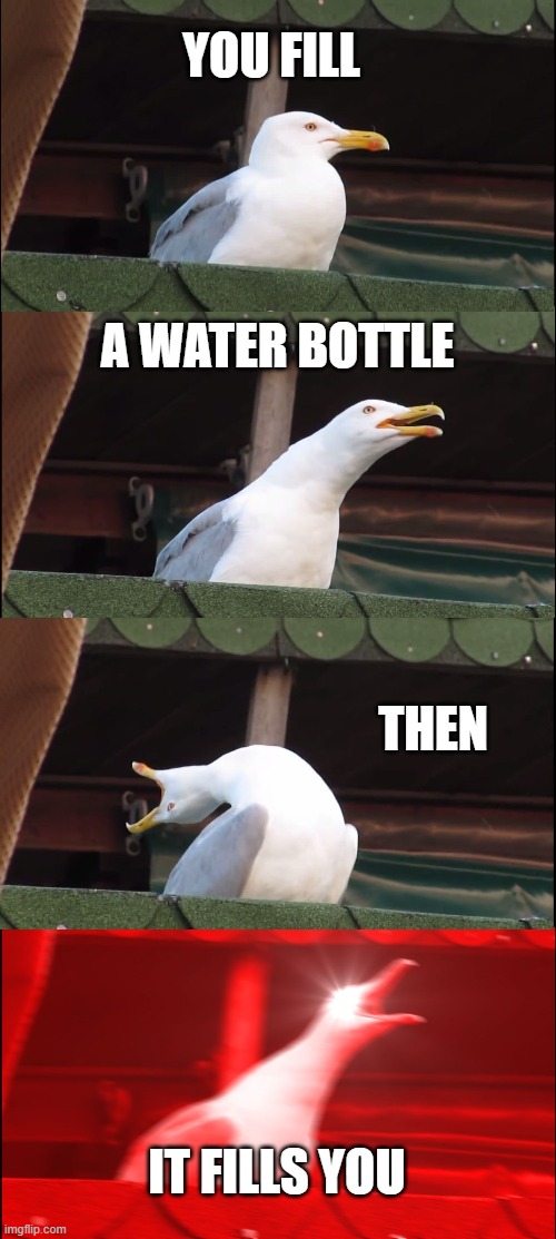 Inhaling Seagull | YOU FILL; A WATER BOTTLE; THEN; IT FILLS YOU | image tagged in memes,inhaling seagull | made w/ Imgflip meme maker