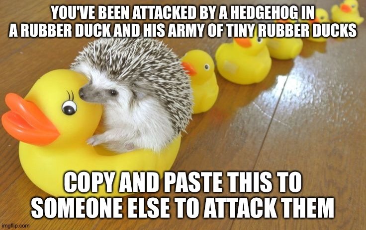 YOU'VE BEEN ATTACKED BY A HEDGEHOG IN A RUBBER DUCK AND HIS ARMY OF TINY RUBBER DUCKS; COPY AND PASTE THIS TO SOMEONE ELSE TO ATTACK THEM | made w/ Imgflip meme maker