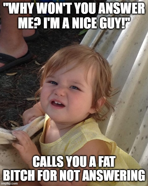 Are you sure? Really? | "WHY WON'T YOU ANSWER ME? I'M A NICE GUY!"; CALLS YOU A FAT BITCH FOR NOT ANSWERING | image tagged in the 'are you sure ' baby,confused baby,nice guy | made w/ Imgflip meme maker