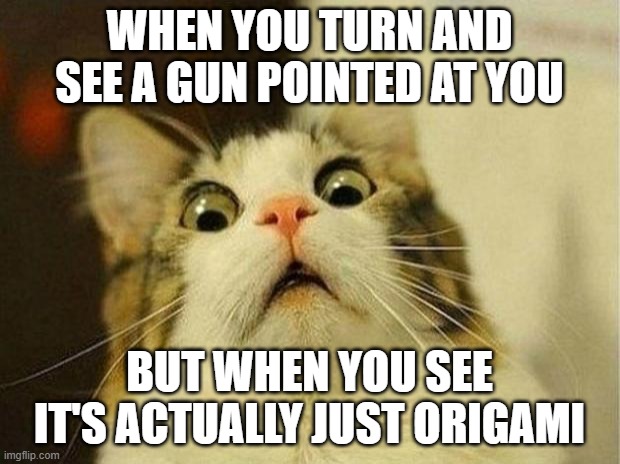 Scared Cat | WHEN YOU TURN AND SEE A GUN POINTED AT YOU; BUT WHEN YOU SEE IT'S ACTUALLY JUST ORIGAMI | image tagged in memes,scared cat | made w/ Imgflip meme maker