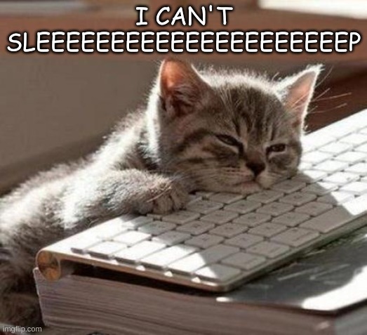 tired cat | I CAN'T SLEEEEEEEEEEEEEEEEEEEEEP | image tagged in tired cat | made w/ Imgflip meme maker