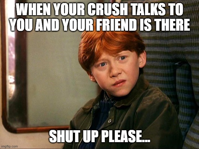 Ron's got a crushh | WHEN YOUR CRUSH TALKS TO YOU AND YOUR FRIEND IS THERE; SHUT UP PLEASE... | image tagged in harry potter meme | made w/ Imgflip meme maker