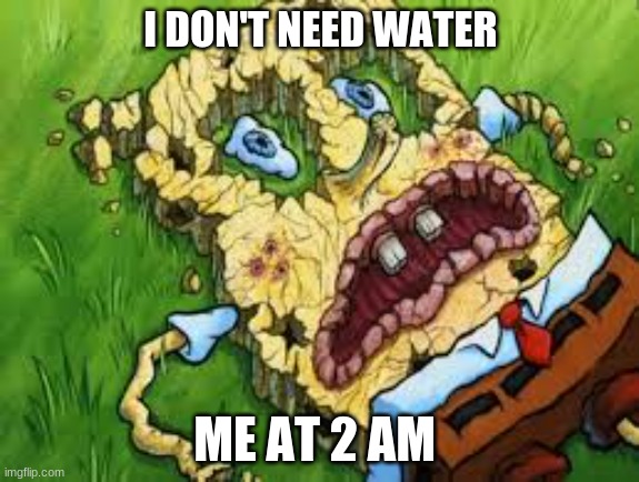 memes |  I DON'T NEED WATER; ME AT 2 AM | image tagged in fun | made w/ Imgflip meme maker