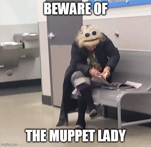 She's Real! | BEWARE OF; THE MUPPET LADY | image tagged in memes,muppets,the muppets,muppet lady,funny,muppet | made w/ Imgflip meme maker