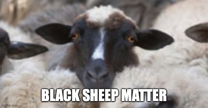 Not just people | BLACK SHEEP MATTER | image tagged in sheep | made w/ Imgflip meme maker