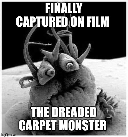 Carpet monster | FINALLY CAPTURED ON FILM; THE DREADED CARPET MONSTER | image tagged in models | made w/ Imgflip meme maker