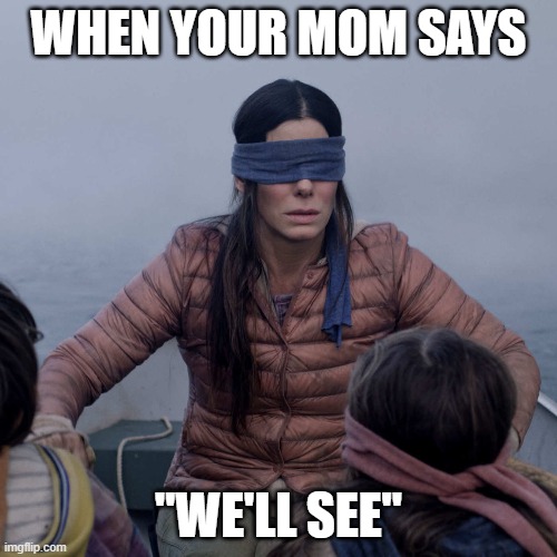 Bird Box Meme | WHEN YOUR MOM SAYS; "WE'LL SEE" | image tagged in memes,bird box,lmao,so true memes,stupid | made w/ Imgflip meme maker