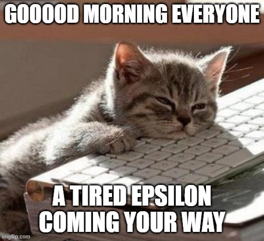 tired asf | GOOOOD MORNING EVERYONE; A TIRED EPSILON COMING YOUR WAY | image tagged in tired cat | made w/ Imgflip meme maker