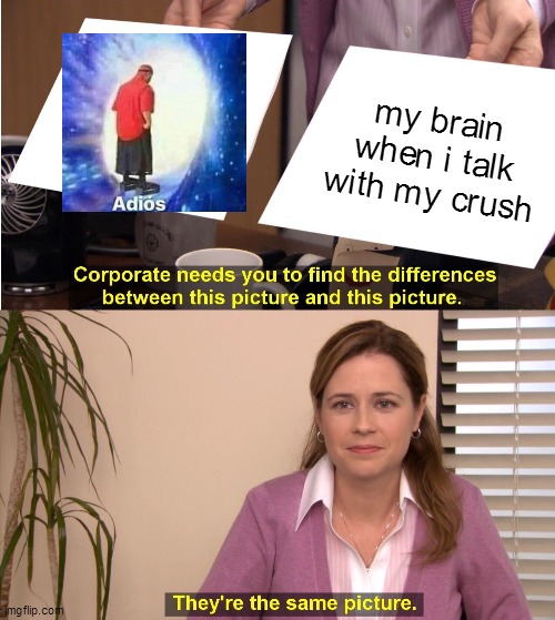 They're The Same Picture Meme | my brain when i talk with my crush | image tagged in memes,they're the same picture | made w/ Imgflip meme maker