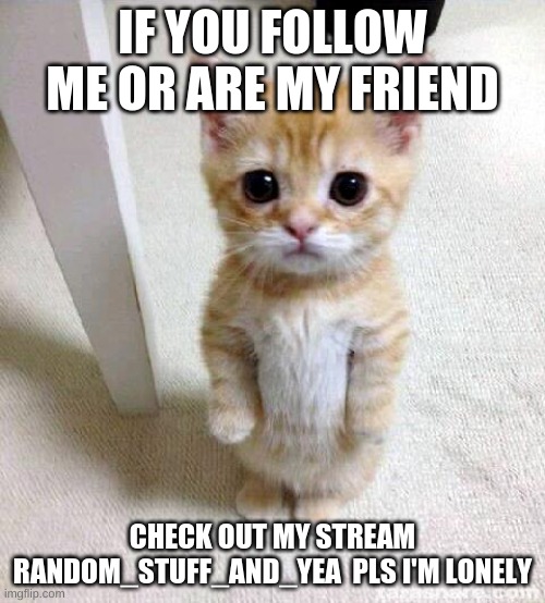 p l s | IF YOU FOLLOW ME OR ARE MY FRIEND; CHECK OUT MY STREAM RANDOM_STUFF_AND_YEA  PLS I'M LONELY | image tagged in memes,cute cat | made w/ Imgflip meme maker