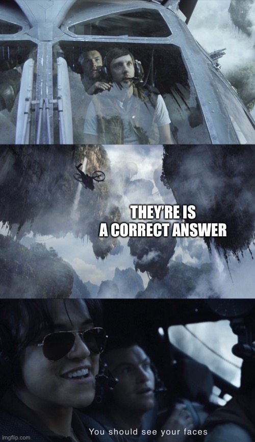 THEY’RE IS A CORRECT ANSWER | image tagged in hallelujah mountains | made w/ Imgflip meme maker