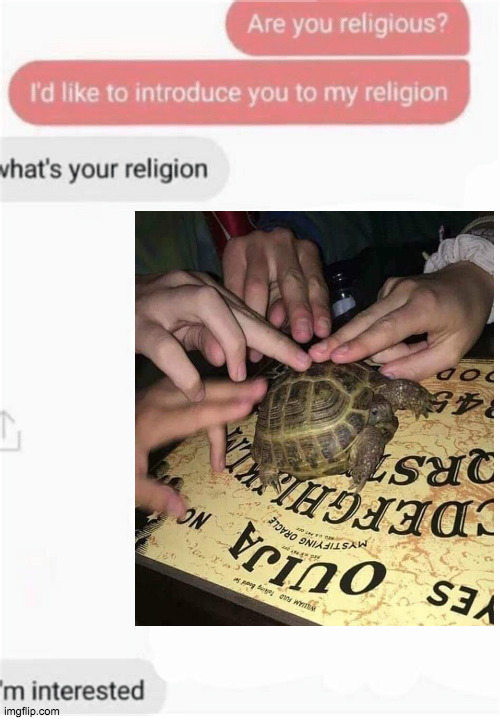 My turtle said that i'm gay | image tagged in cursed image,turtle,ouija | made w/ Imgflip meme maker