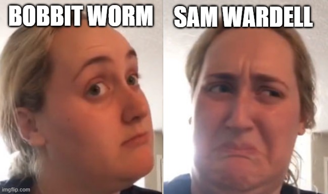 Flipped Kombucha Girl | SAM WARDELL; BOBBIT WORM | image tagged in flipped kombucha girl | made w/ Imgflip meme maker