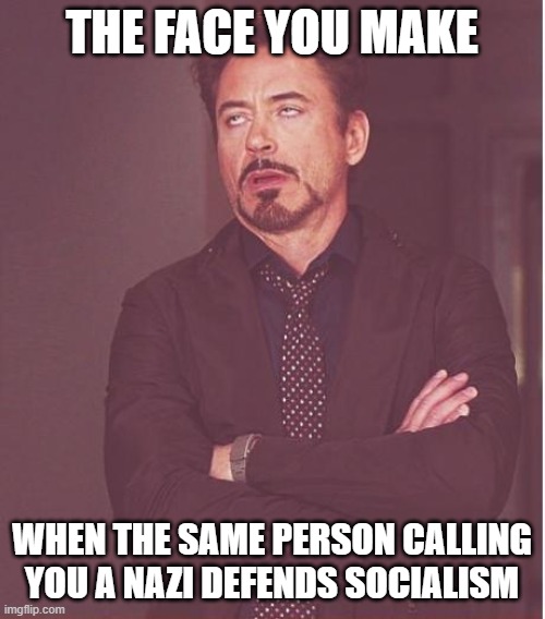 Face You Make Robert Downey Jr Meme | THE FACE YOU MAKE WHEN THE SAME PERSON CALLING YOU A NAZI DEFENDS SOCIALISM | image tagged in memes,face you make robert downey jr | made w/ Imgflip meme maker
