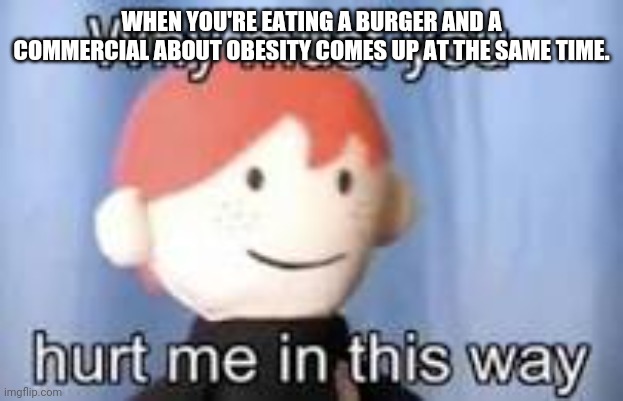 Why must you hurt me in this way | WHEN YOU'RE EATING A BURGER AND A COMMERCIAL ABOUT OBESITY COMES UP AT THE SAME TIME. | image tagged in why must you hurt me in this way | made w/ Imgflip meme maker