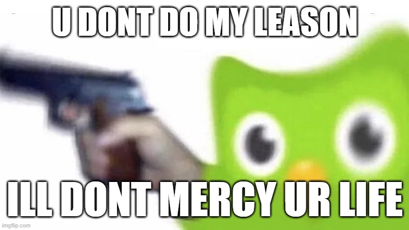 duolingo gun | U DONT DO MY LEASON ILL DONT MERCY UR LIFE | image tagged in duolingo gun | made w/ Imgflip meme maker