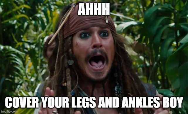 Capt Jack Sparrow Ahhh | AHHH COVER YOUR LEGS AND ANKLES BOY | image tagged in capt jack sparrow ahhh | made w/ Imgflip meme maker