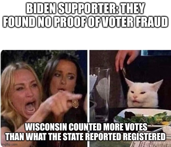 Lady screams at cat | BIDEN SUPPORTER: THEY FOUND NO PROOF OF VOTER FRAUD; WISCONSIN COUNTED MORE VOTES THAN WHAT THE STATE REPORTED REGISTERED | image tagged in lady screams at cat | made w/ Imgflip meme maker