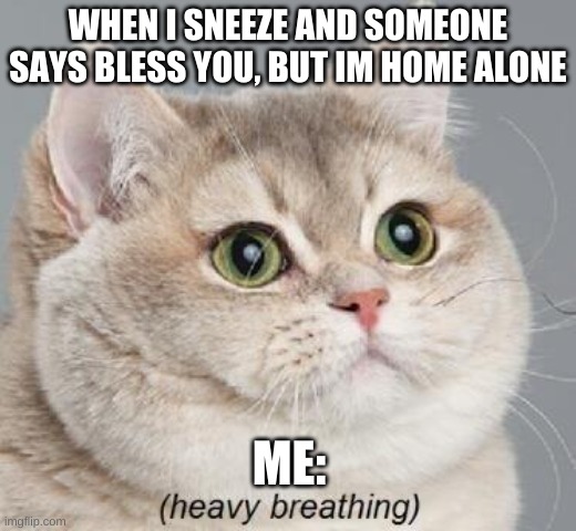 sneeze | WHEN I SNEEZE AND SOMEONE SAYS BLESS YOU, BUT IM HOME ALONE; ME: | image tagged in memes,heavy breathing cat | made w/ Imgflip meme maker