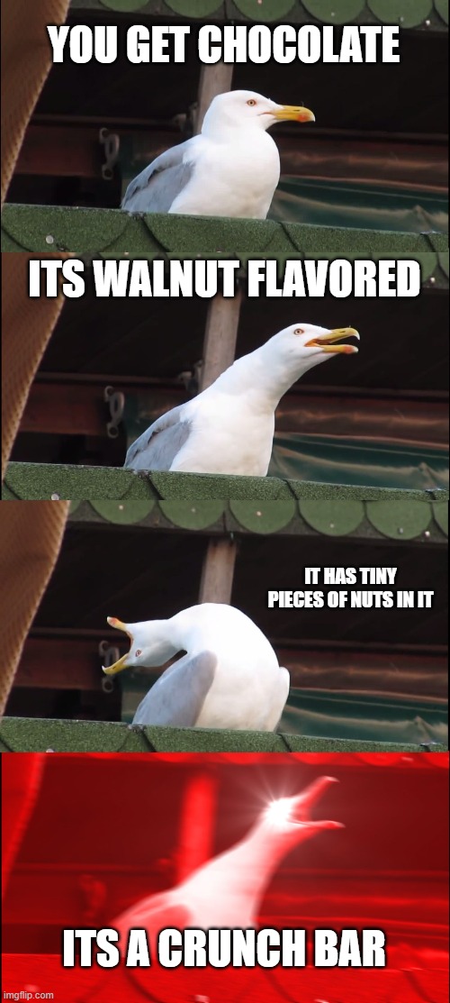 Inhaling Seagull | YOU GET CHOCOLATE; ITS WALNUT FLAVORED; IT HAS TINY PIECES OF NUTS IN IT; ITS A CRUNCH BAR | image tagged in memes,inhaling seagull | made w/ Imgflip meme maker