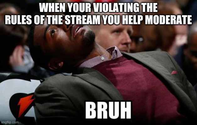 This happened in this stream, will not be petty and name them. | WHEN YOUR VIOLATING THE RULES OF THE STREAM YOU HELP MODERATE | image tagged in bruh | made w/ Imgflip meme maker