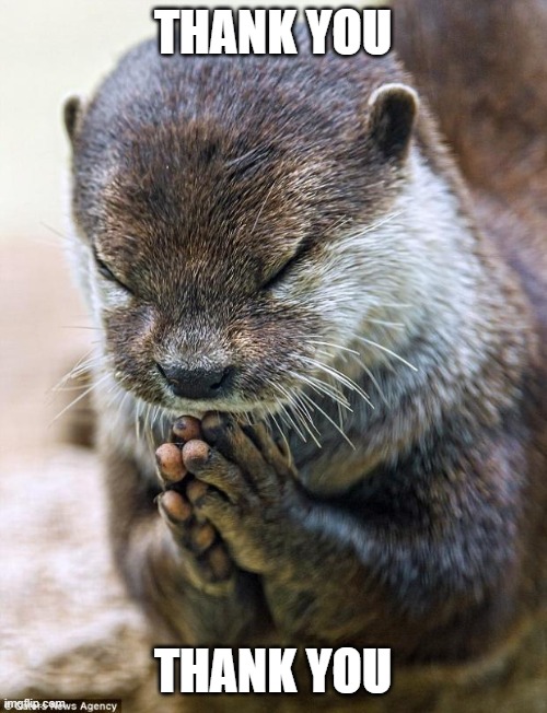 Thank you Lord Otter | THANK YOU THANK YOU | image tagged in thank you lord otter | made w/ Imgflip meme maker