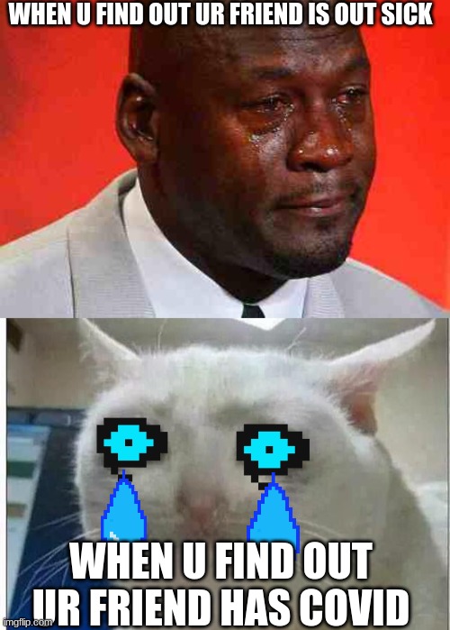 WHEN U FIND OUT UR FRIEND IS OUT SICK; WHEN U FIND OUT UR FRIEND HAS COVID | image tagged in crying michael jordan,crying cat | made w/ Imgflip meme maker