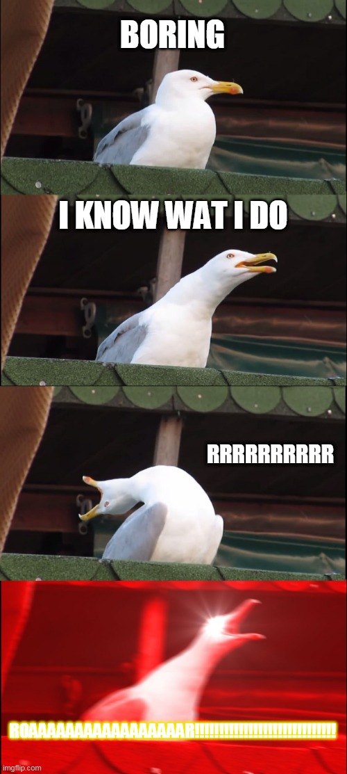 Inhaling Seagull | BORING; I KNOW WAT I DO; RRRRRRRRRR; ROAAAAAAAAAAAAAAAAAR!!!!!!!!!!!!!!!!!!!!!!!!!!!!! | image tagged in memes,inhaling seagull | made w/ Imgflip meme maker