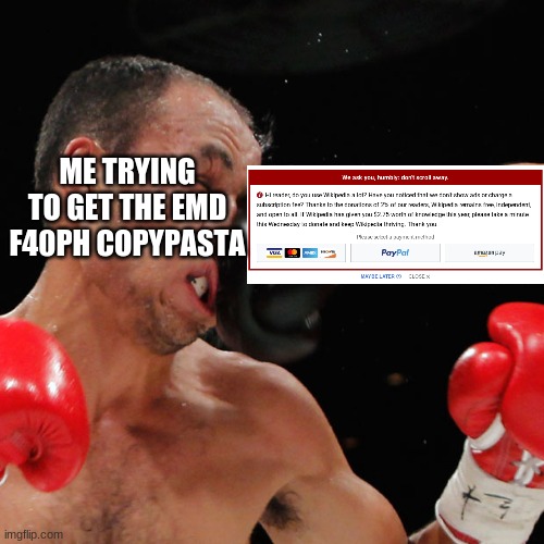 Boxer Getting Punched In The Face | ME TRYING TO GET THE EMD F40PH COPYPASTA | image tagged in boxer getting punched in the face | made w/ Imgflip meme maker